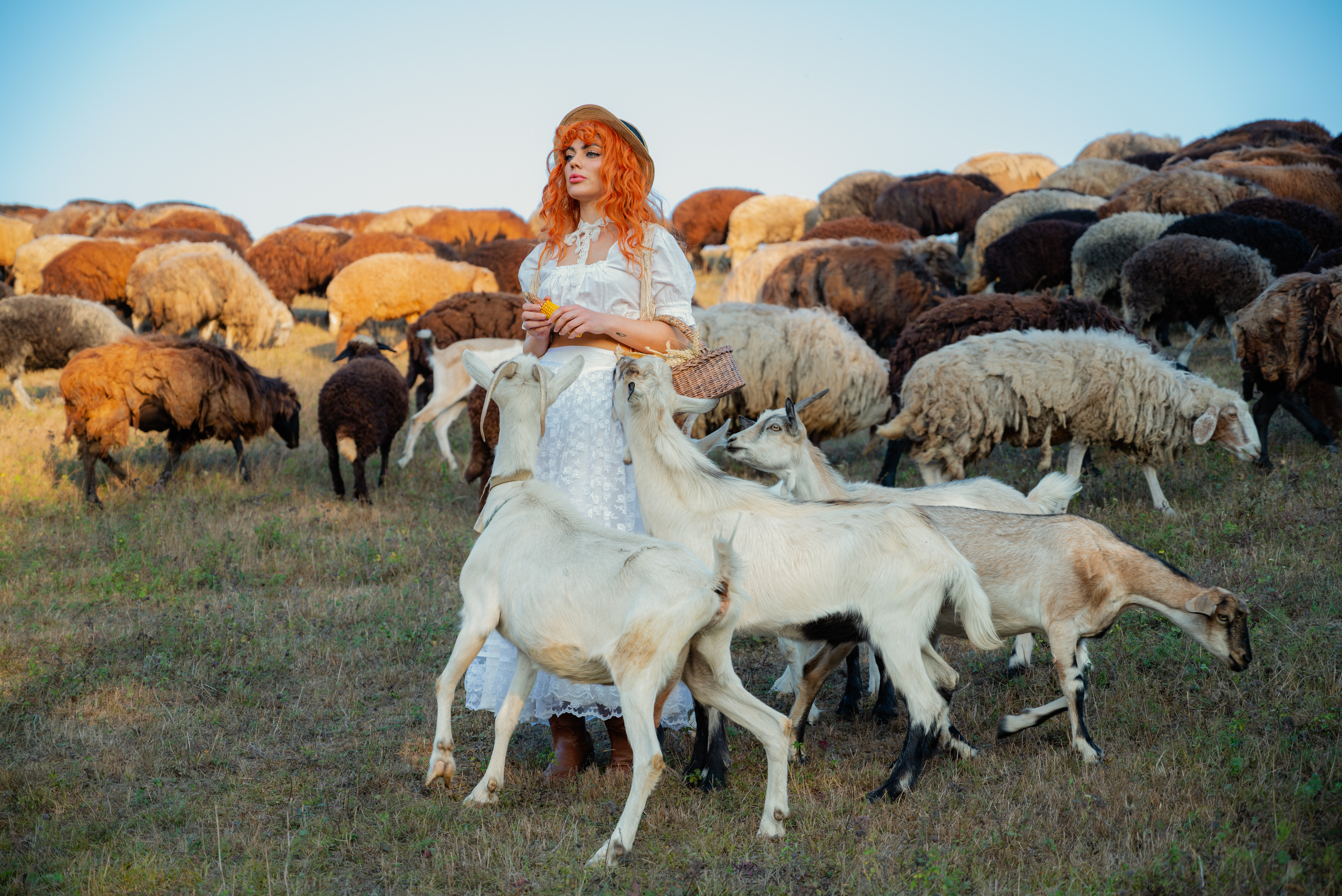 Сільський шик